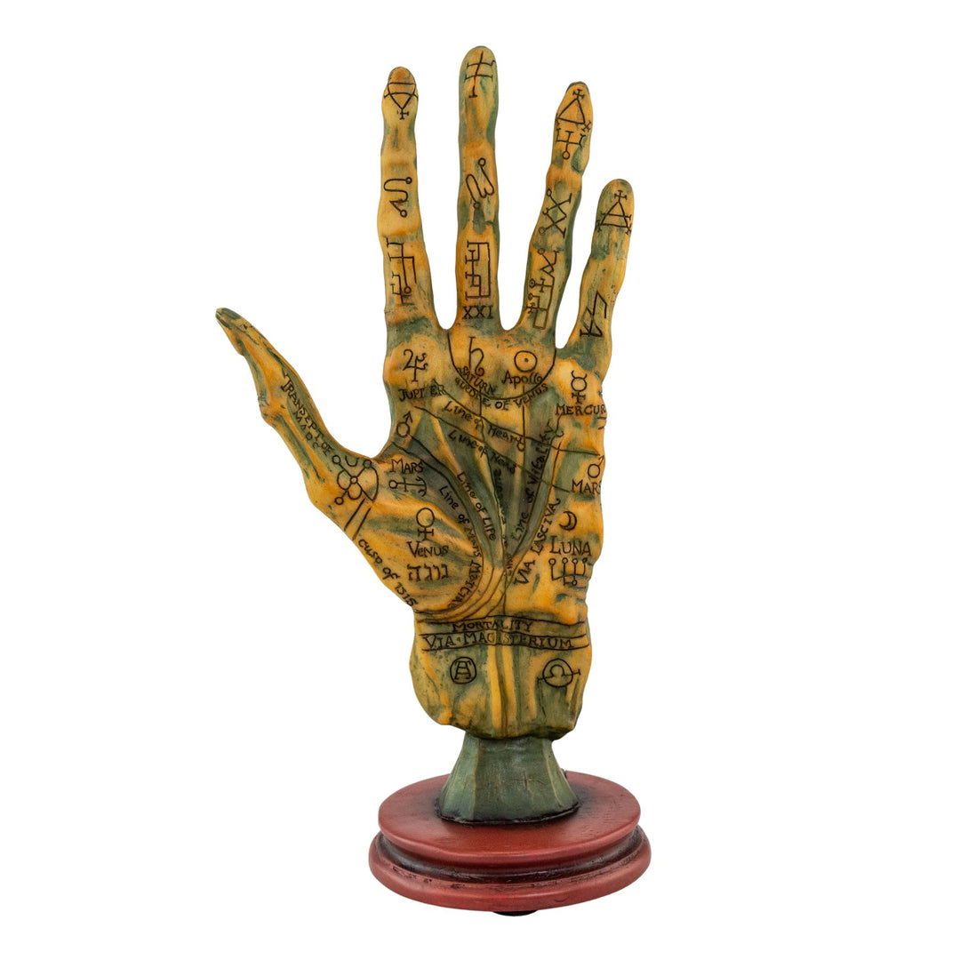 "Decorative palm reading hand sculpture on a white background," - Up N Smoke.