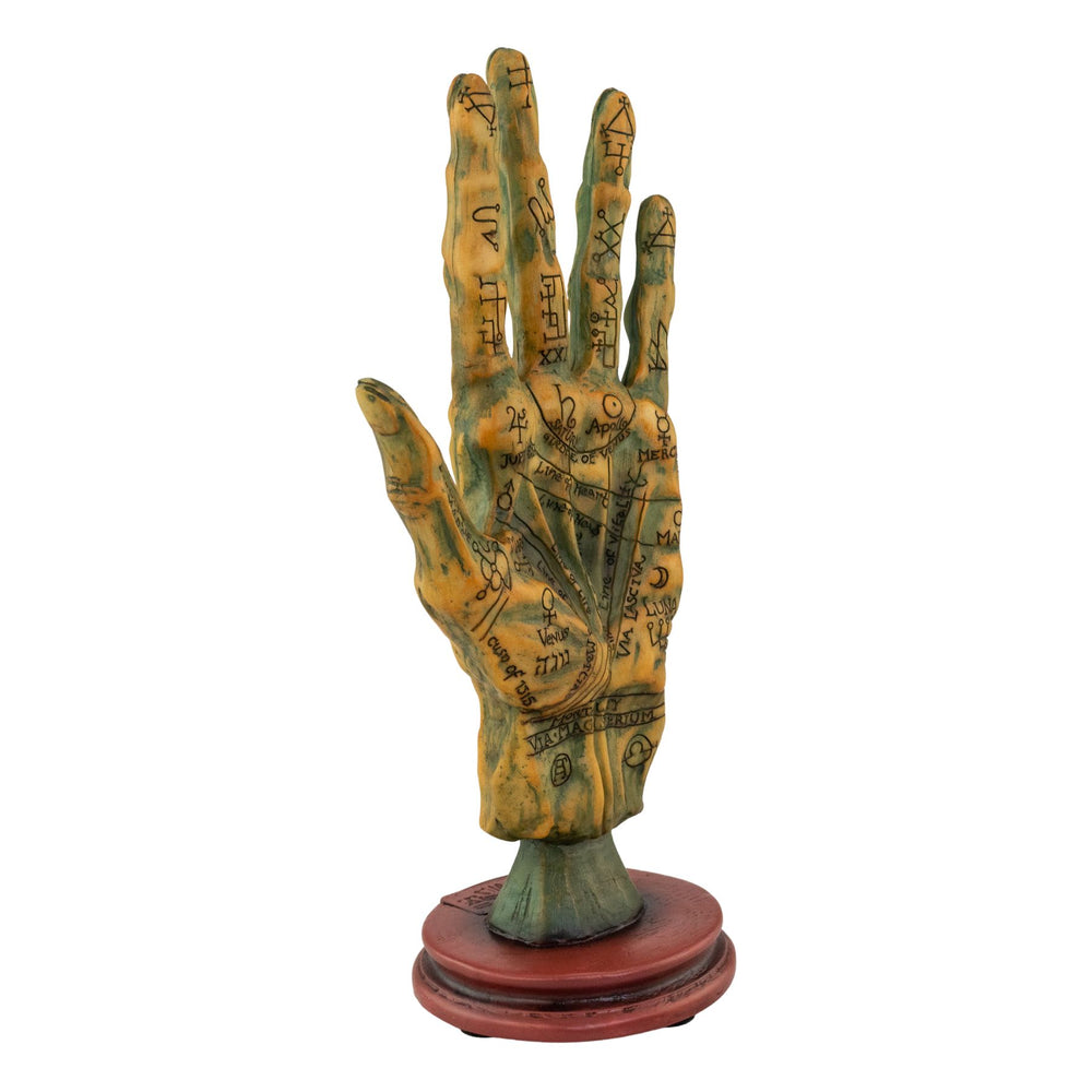 "Decorative palmistry hand sculpture on a white background," - Up N Smoke.