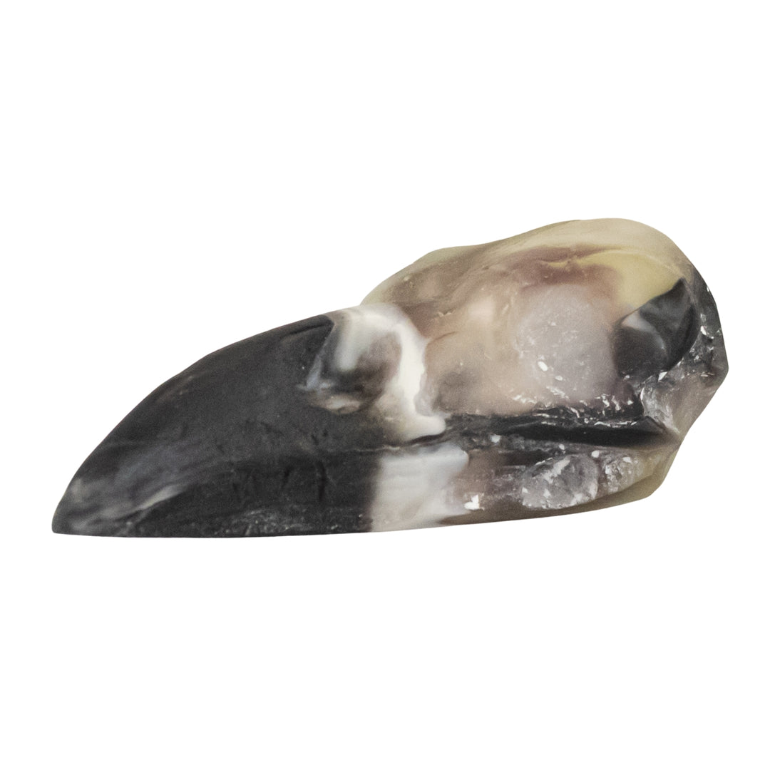 Resin Crow Skull black & white side facing on a white background - Up N Smoke