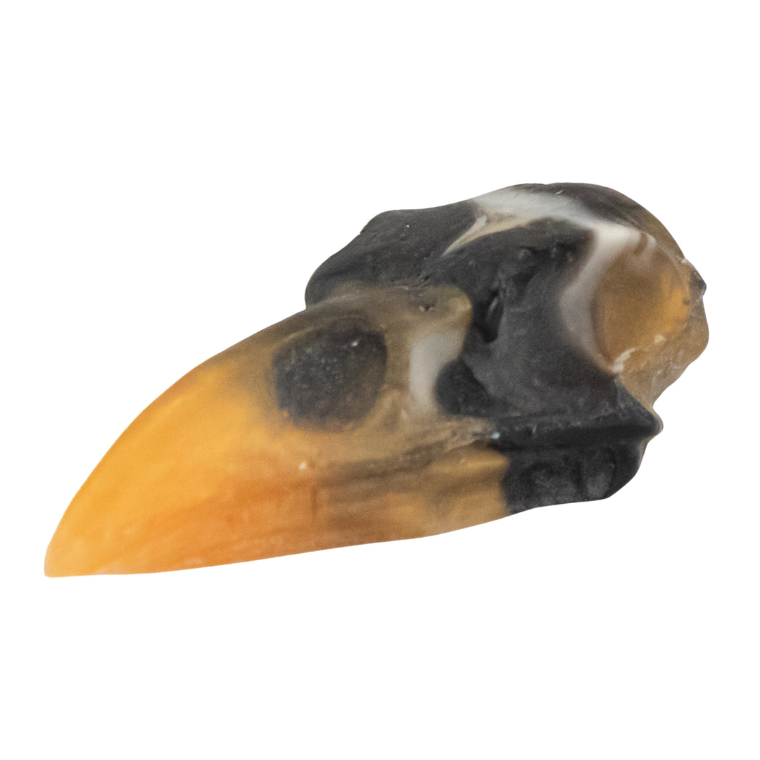 Resin Crow Skull black & orange side facing on a white background - Up N Smoke