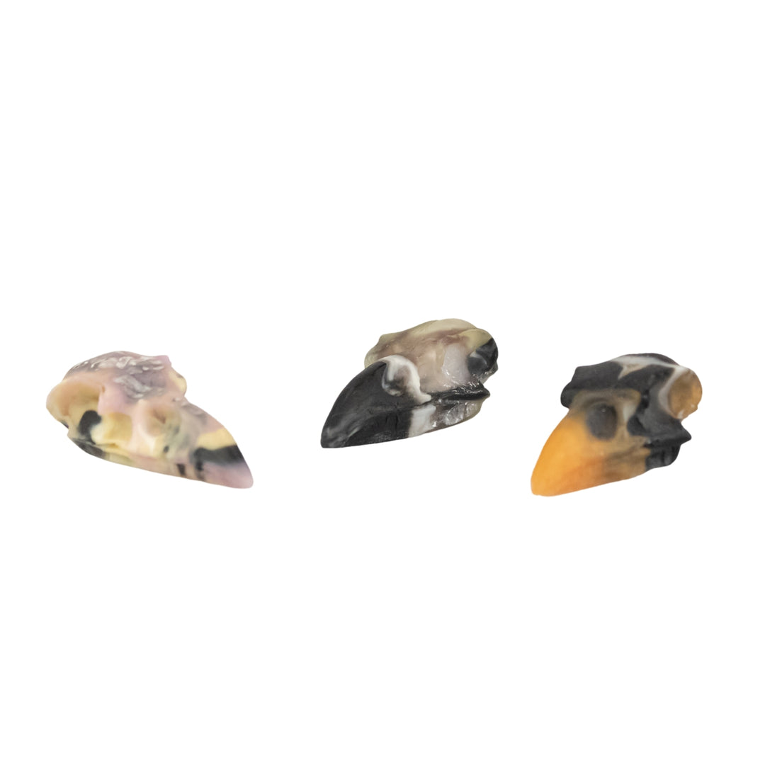 Resin Crow Skull group photo on a white background - Up N Smoke