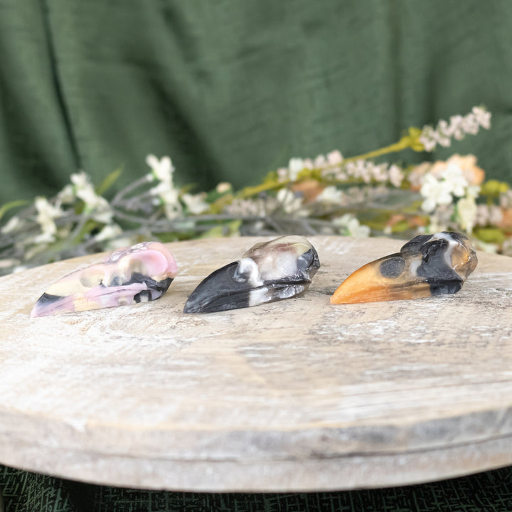 Resin Crow Skull front facing group photo on a style background - Up N Smoke
