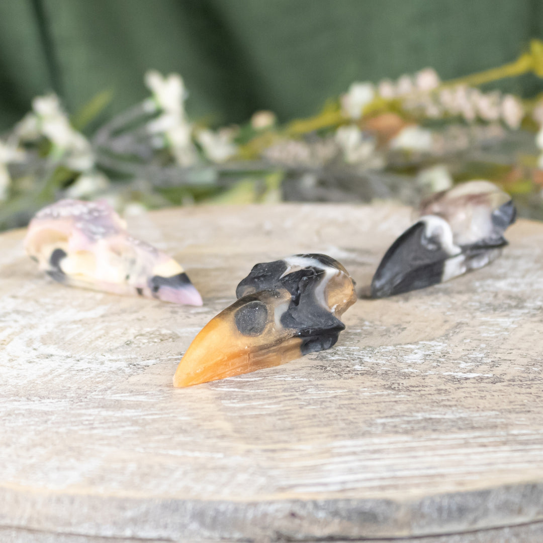 Resin Crow Skull Group Photo on a style background - Up N Smoke