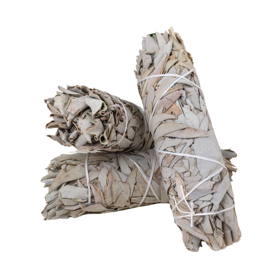 Three bundles of sage tied together on a white background