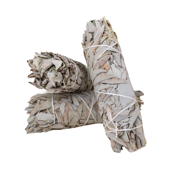 Three bundles of sage tied together on a white background