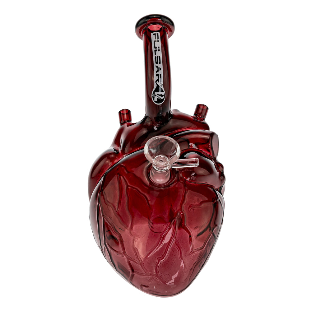 Pulsar Anatomical Heart Bubbler displayed on a white background front facing - Up N Smoke