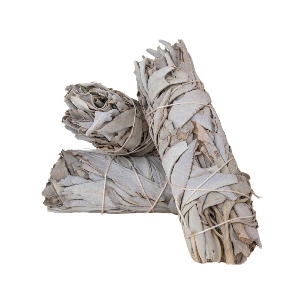 Three bundles of white sage tied together on a white background