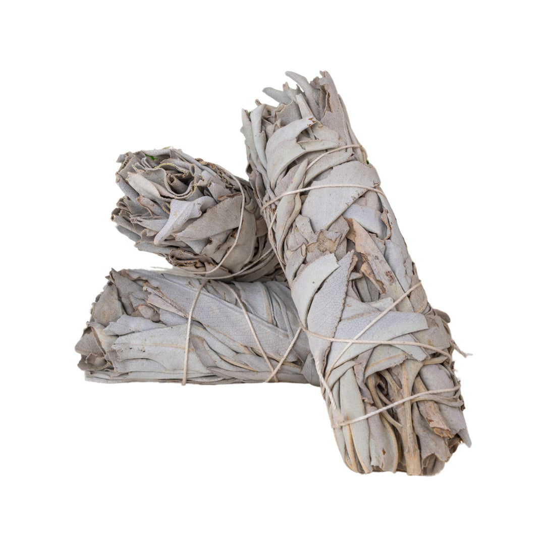 Three bundles of white sage tied together on a white background
