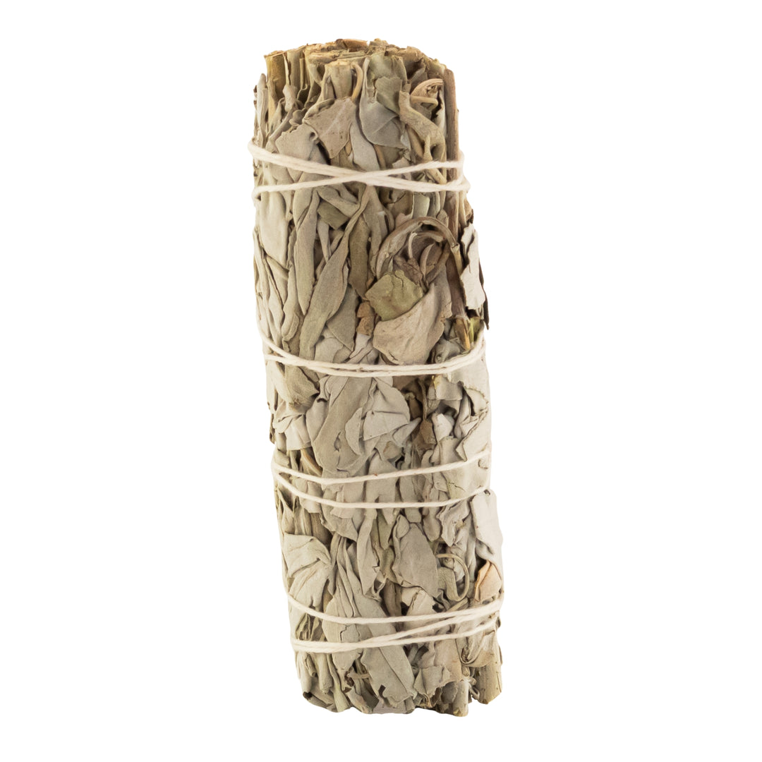 California White Sage Wand displayed on a white background - Up N Smoke