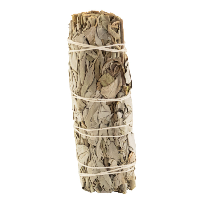 California White Sage Wand displayed on a white background - Up N Smoke