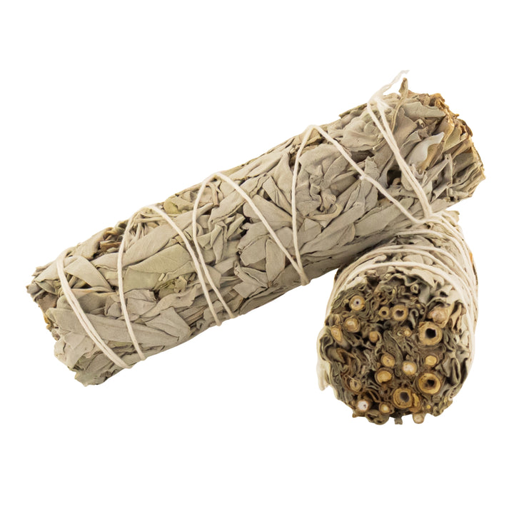 California White Sage Wand group photo displayed on a white background - Up N Smoke