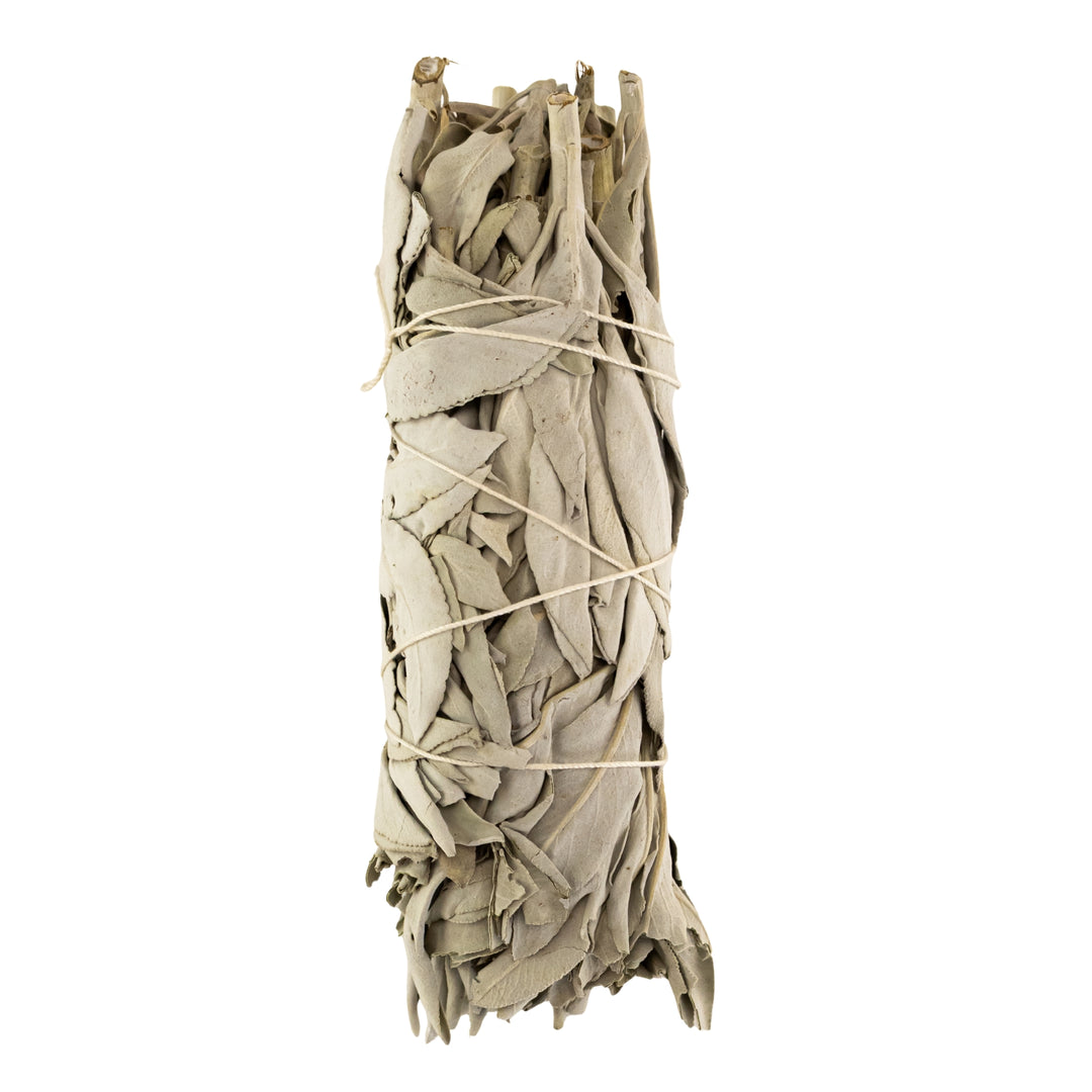 California White Sage Wand 2x5 displayed on a white background - Up N Smoke