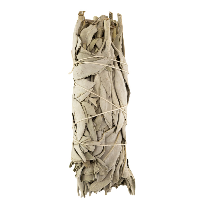 California White Sage Wand 2x5 displayed on a white background - Up N Smoke
