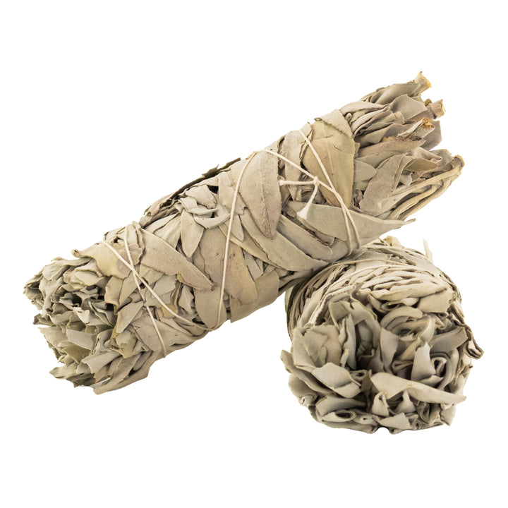 California White Sage Wand 2x5 group photo displayed on a white background - Up N Smoke