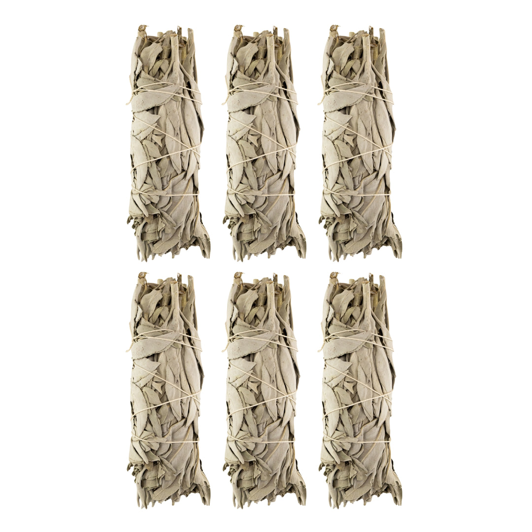 California White Sage Wand 6ct 2x5 displayed on a white background - Up N Smoke