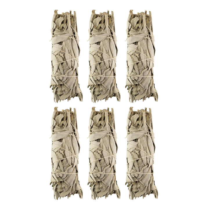 California White Sage Wand 6ct 2x5 displayed on a white background - Up N Smoke
