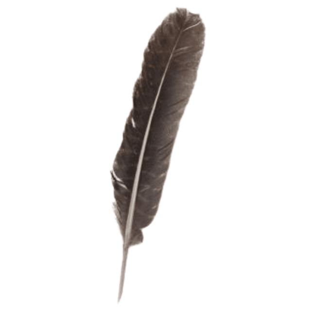 Barred Turkey Feather - Up N Smoke